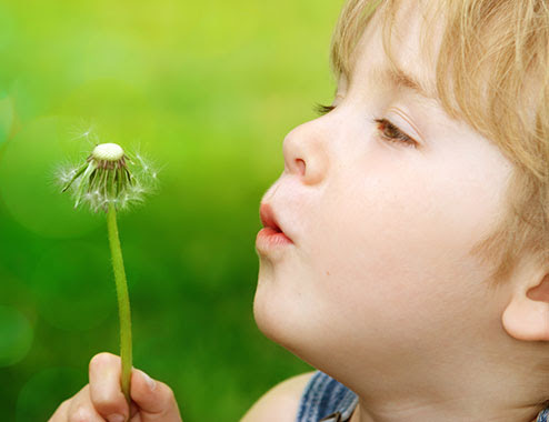 体育博彩绿色公益行动