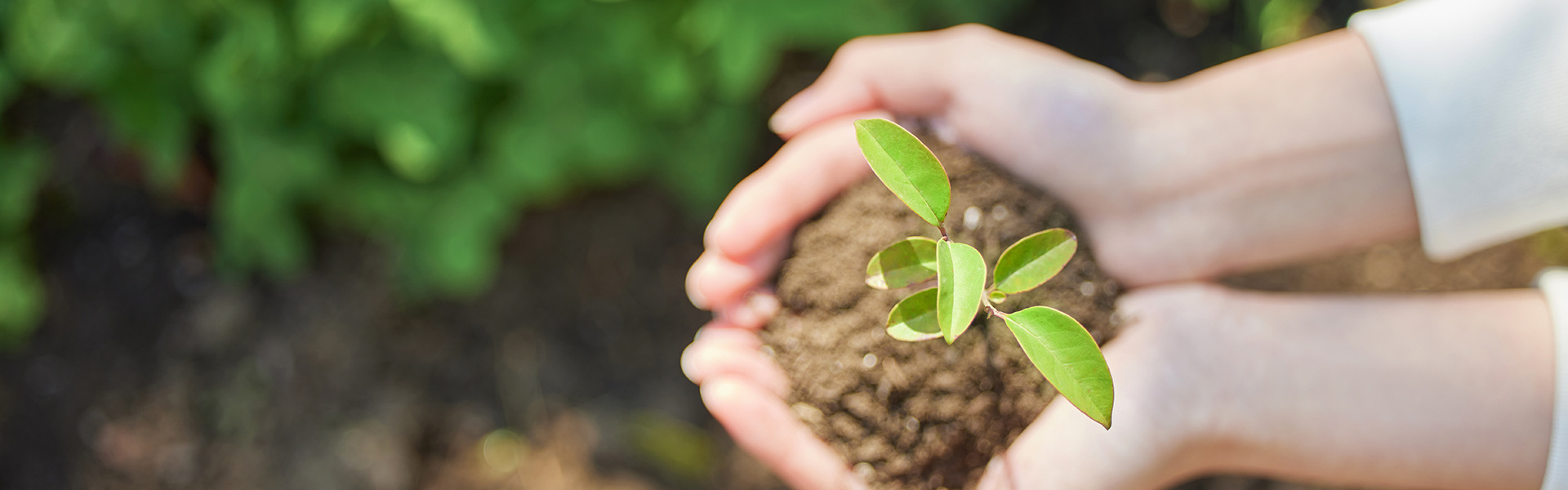 体育博彩绿色公益行动