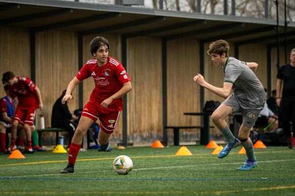 NBA 夏季联赛（NBA Summer League）